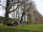 Haagse Bos